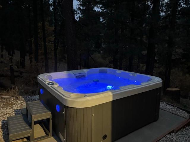 Snow Bunny Lodge - Perfect Big Bear Getaway! Deck With A New Hot Tub And Charcoal Barbecue! Біг-Бер-Лейк Екстер'єр фото